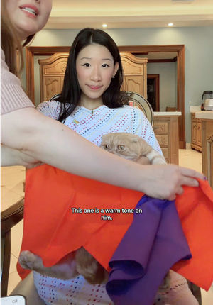 Video post by @beccaxbloom on TikTok