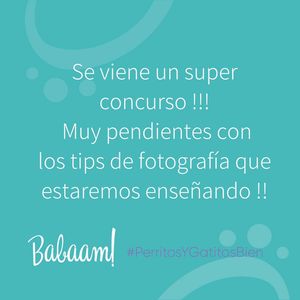 Image post by @babaamstore on Instagram