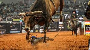 Video post by @pbr on YouTube