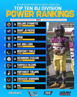 Image post by @the_rawreport on Instagram