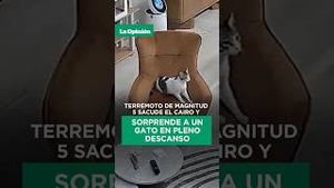 Video post by @laopinionla on YouTube