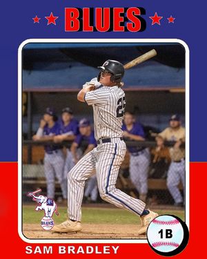 Image post by @atlbluesbaseball on Instagram