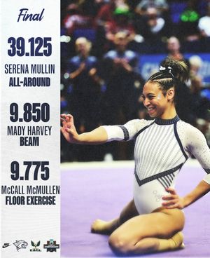 Image post by @unhgymnastics on Instagram