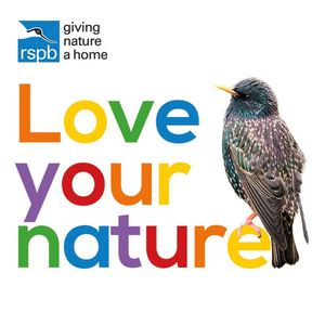 Image post by @rspb on Instagram
