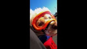 Video post by @adobevideo on YouTube