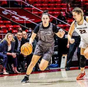 Image post by @utahwbb on Instagram