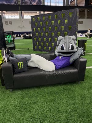 Image post by @tcu.superfrog on Instagram