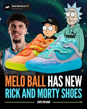 Image post by @soleretriever on Instagram