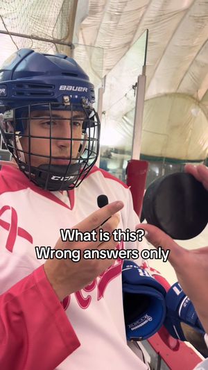 Video post by @hoficehockey on TikTok