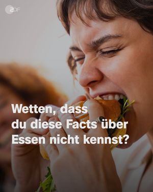 Image post by @zdf.de on Instagram