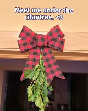 Video post by @aldiusa on TikTok