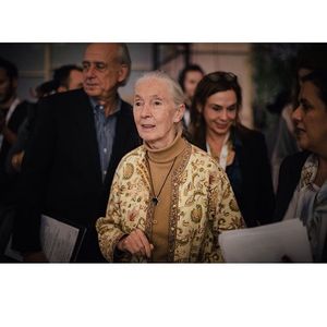 Image post by @unfoundation on Instagram