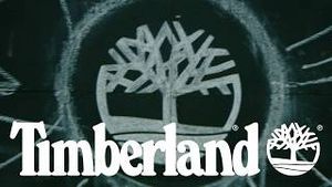 Video post by @taiwantimberland7726 on YouTube