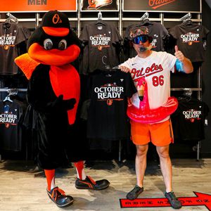 Image post by @OrioleBird on Twitter