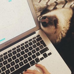 Image post by @pammywest on Instagram