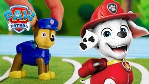 Video post by @pawpatrolofficial on YouTube