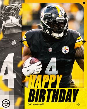 Image post by @steelers on Instagram