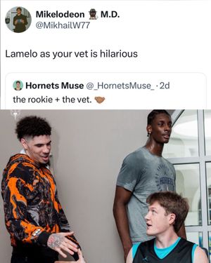 Video post by @whistle on TikTok