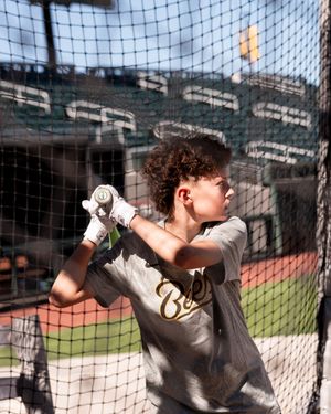 Image post by @saltlakebees on Instagram