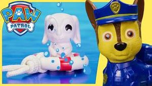 Video post by @pawpatrolofficial on YouTube