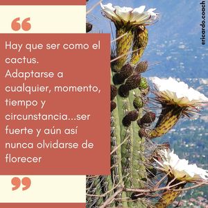 Image post by @ricardo.coach on Instagram