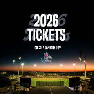 Image post by @gohammerheads on Instagram