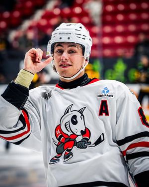 Image post by @ohlicedogs on Instagram