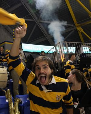 Image post by @qupepband on Instagram