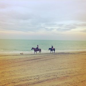 Image post by @theouterbanksnc on Instagram