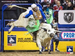 Image post by @prca_prorodeo on Instagram