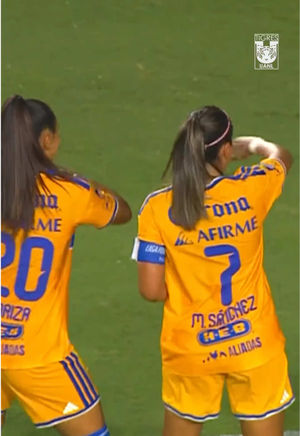 Video post by @clubtigresfemenil on TikTok