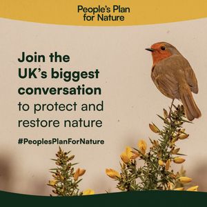 Image post by @rspb on Instagram