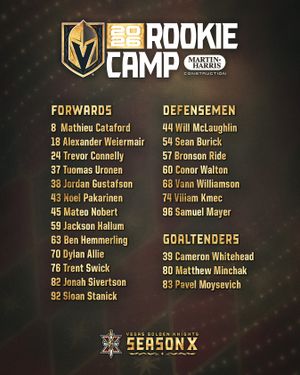 Image post by @vegasgoldenknights on Instagram