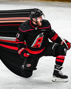 Image post by @canes on Instagram