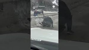 Video post by @accuweather on YouTube