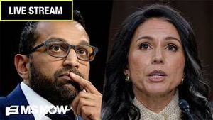 Video post by @msnbc on YouTube