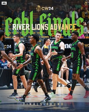 Image post by @niagarariverlions on Instagram