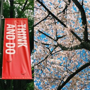 Image post by @ncstate on Instagram