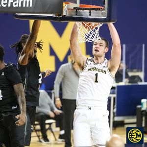 Image post by @umhoops on Instagram