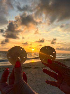 Image post by @visitsarasotacounty on Instagram