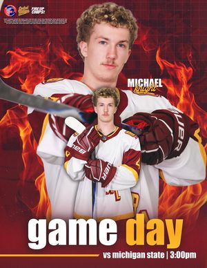 Image post by @cmuhockeyd3 on Instagram