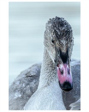 Image post by @jackpowerphotography on Instagram