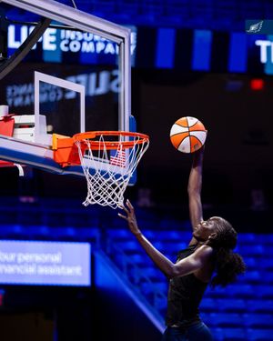 Image post by @DallasWings on Twitter/X