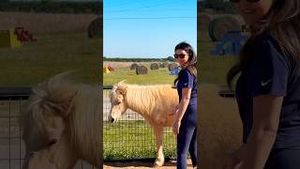 Video post by @ambargarciatv on YouTube
