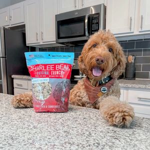Image post by @charlee_bear_dogtreats on Instagram