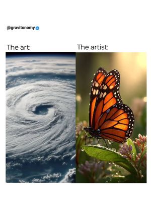 Image post by @gravitonomy on Instagram