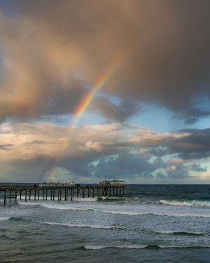 Image post by @ucsandiego on Instagram