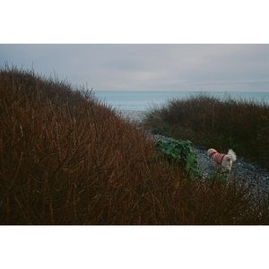 Image post by @kim_sola on Instagram