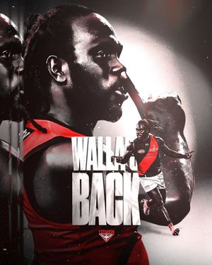 Image post by @essendonfc on Instagram