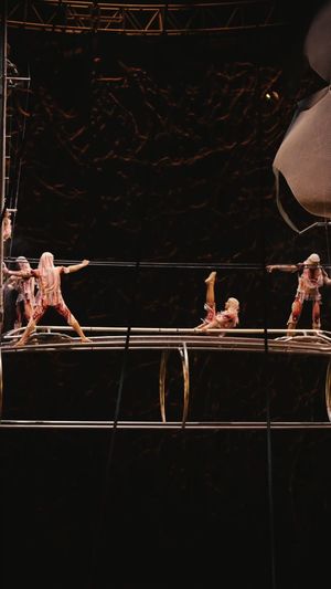 Image post by @o.cirquedusoleil on Instagram